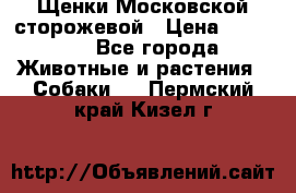 Щенки Московской сторожевой › Цена ­ 35 000 - Все города Животные и растения » Собаки   . Пермский край,Кизел г.
